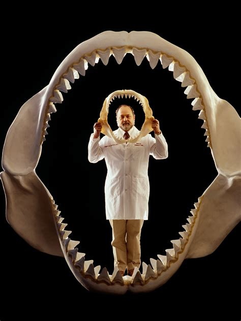 The Real Megalodon: Prehistoric Shark Behind Doc Uproar.